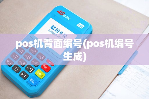 pos机背面编号(pos机编号生成) pos机背面编号(pos机编号生成)