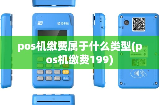pos机缴费属于什么类型(pos机缴费199) pos机缴费属于什么类型(pos机缴费199)