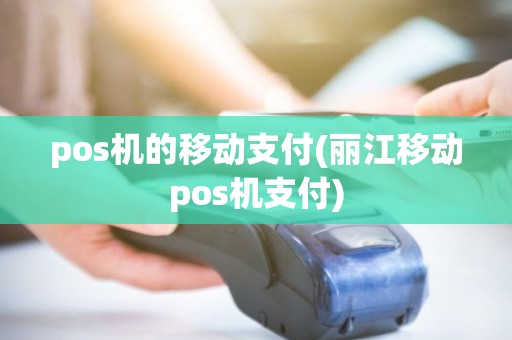pos机的移动支付(丽江移动pos机支付)