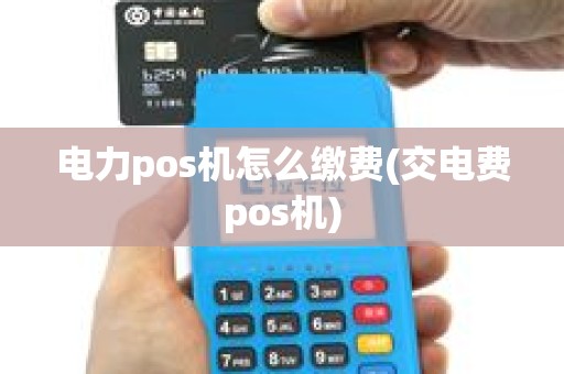电力pos机怎么缴费(交电费pos机)