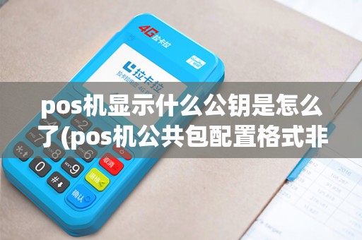pos机显示什么公钥是怎么了(pos机公共包配置格式非法) pos机显示什么公钥是怎么了(pos机公共包配置格式非法)