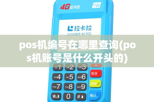 pos机编号在哪里查询(pos机账号是什么开头的) pos机编号在哪里查询(pos机账号是什么开头的)