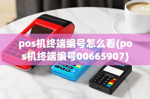 pos机终端编号怎么看(pos机终端编号00665907) pos机终端编号怎么看(pos机终端编号00665907)