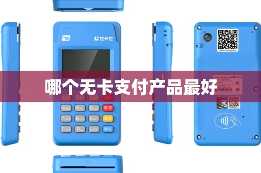 哪个无卡支付产品最好