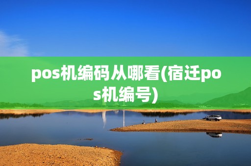 pos机编码从哪看(宿迁pos机编号) pos机编码从哪看(宿迁pos机编号)