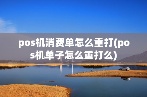 pos机消费单怎么重打(pos机单子怎么重打么) pos机消费单怎么重打(pos机单子怎么重打么)