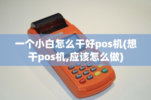 一个小白怎么干好pos机(想干pos机,应该怎么做)