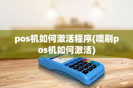 pos机如何激活程序(噢刷pos机如何激活)