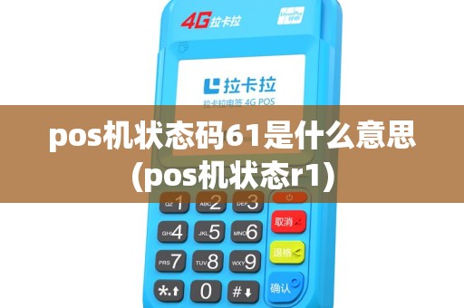 pos机状态码61是什么意思(pos机状态r1)