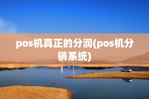 pos机真正的分润(pos机分销系统)
