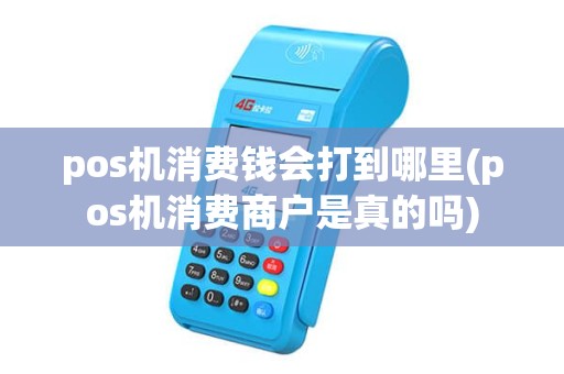 pos机消费钱会打到哪里(pos机消费商户是真的吗)