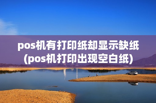 pos机有打印纸却显示缺纸(pos机打印出现空白纸)