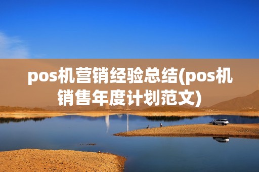 pos机营销经验总结(pos机销售年度计划范文)