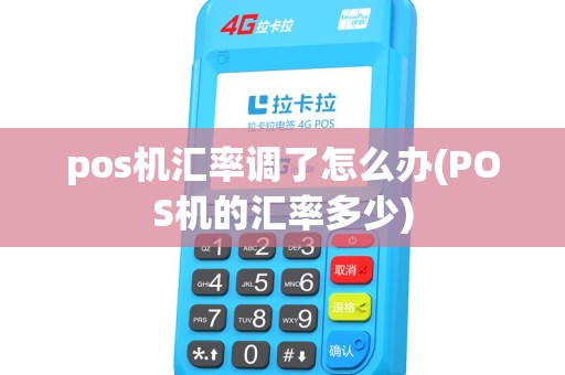 pos机汇率调了怎么办(POS机的汇率多少)