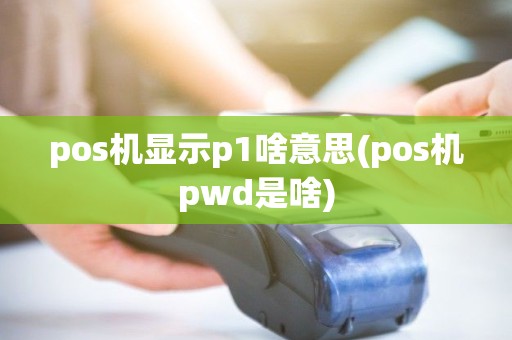 pos机显示p1啥意思(pos机pwd是啥)