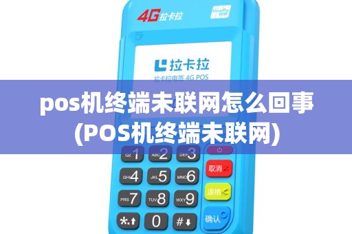 pos机终端未联网怎么回事(POS机终端未联网) pos机终端未联网怎么回事(POS机终端未联网)