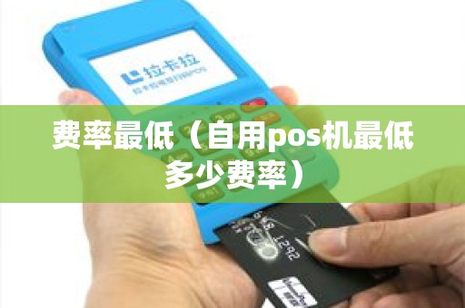 费率最低（自用pos机最低多少费率）