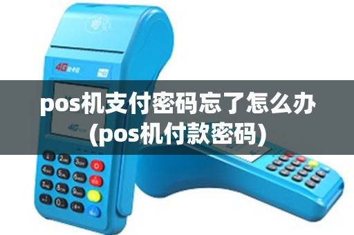 pos机支付密码忘了怎么办(pos机付款密码)
