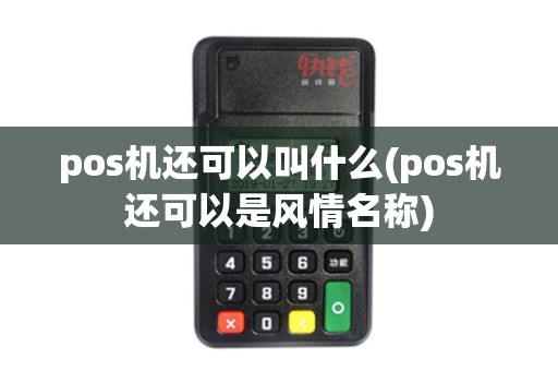 pos机还可以叫什么(pos机还可以是风情名称) pos机还可以叫什么(pos机还可以是风情名称)
