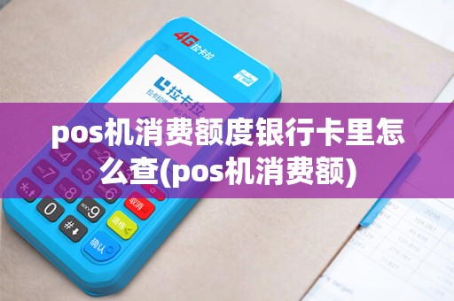 pos机消费额度银行卡里怎么查(pos机消费额) pos机消费额度银行卡里怎么查(pos机消费额)