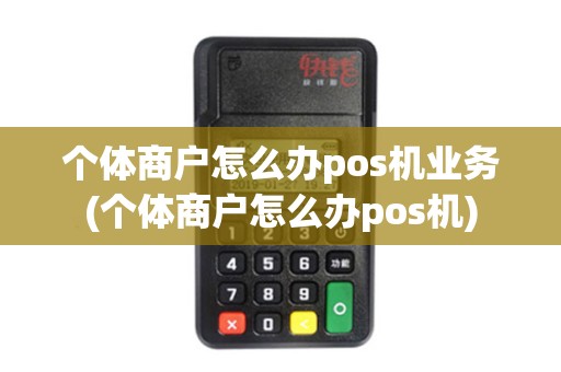 个体商户怎么办pos机业务(个体商户怎么办pos机)
