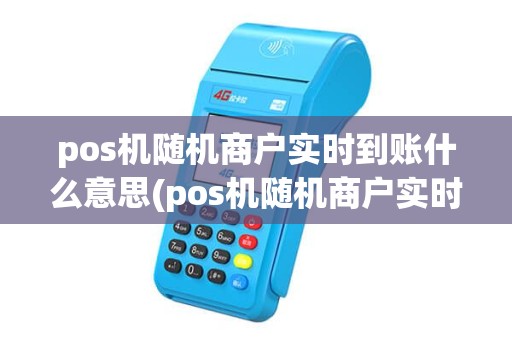 pos机随机商户实时到账什么意思(pos机随机商户实时到账)