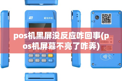 pos机黑屏没反应咋回事(pos机屏幕不亮了咋弄)