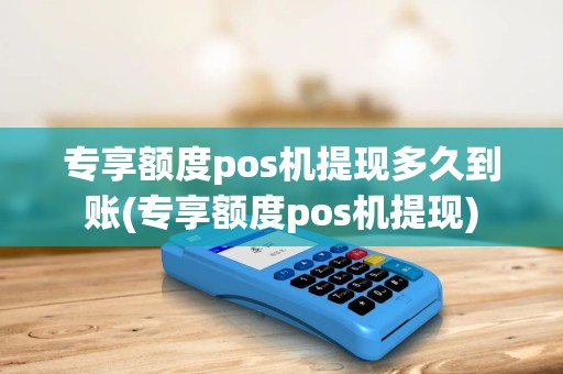 专享额度pos机提现多久到账(专享额度pos机提现)
