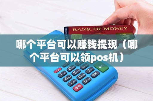 哪个平台可以赚钱提现（哪个平台可以领pos机）