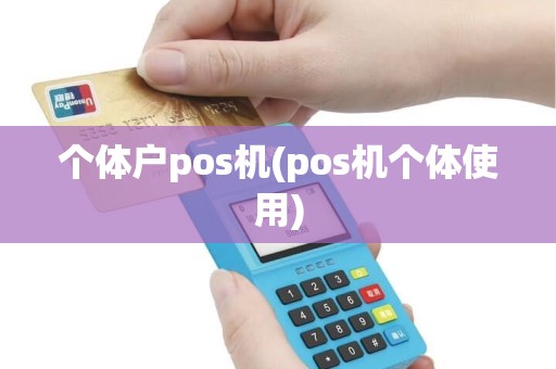 个体户pos机(pos机个体使用)