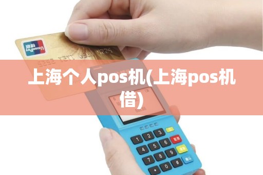 上海个人pos机(上海pos机借)
