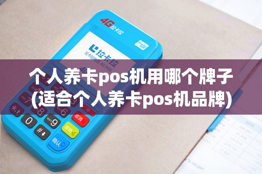 个人养卡pos机用哪个牌子(适合个人养卡pos机品牌)