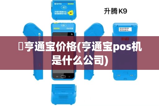 乹亨通宝价格(亨通宝pos机是什么公司)