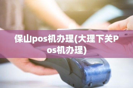 保山pos机办理(大理下关Pos机办理)