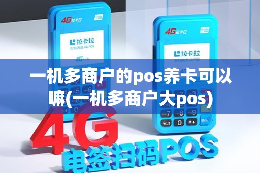 一机多商户的pos养卡可以嘛(一机多商户大pos)