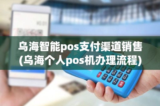 乌海智能pos支付渠道销售(乌海个人pos机办理流程)