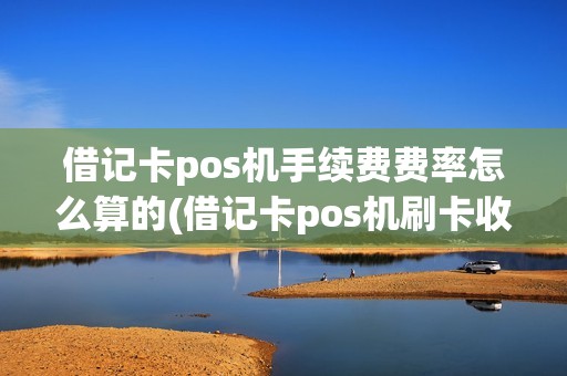 借记卡pos机手续费费率怎么算的(借记卡pos机刷卡收费标准)