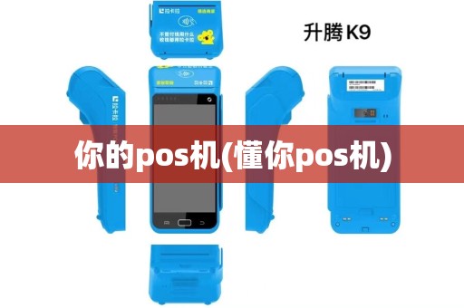 你的pos机(懂你pos机)