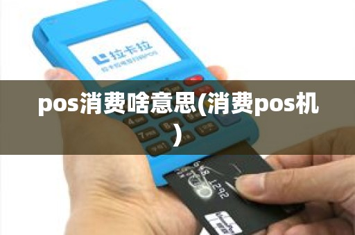 pos消费啥意思(消费pos机)