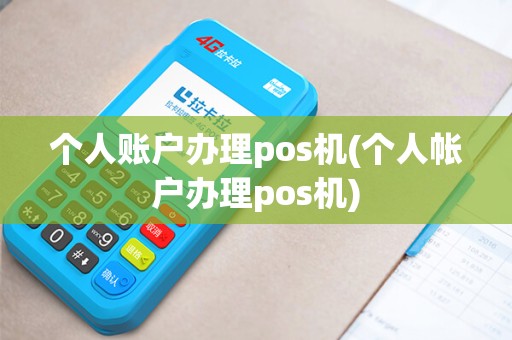个人账户办理pos机(个人帐户办理pos机)