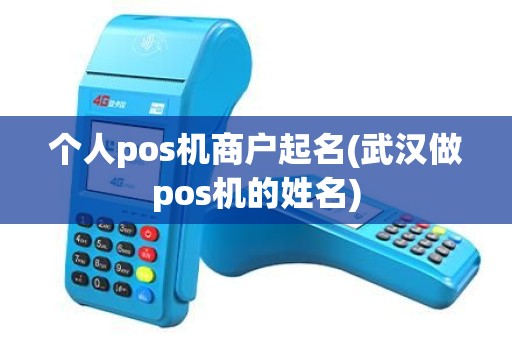 个人pos机商户起名(武汉做pos机的姓名)
