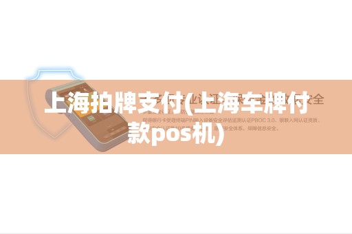上海拍牌支付(上海车牌付款pos机)