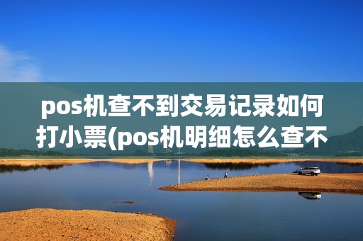 pos机查不到交易记录如何打小票(pos机明细怎么查不到)