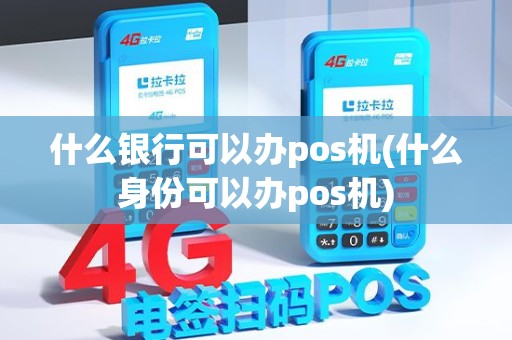 什么银行可以办pos机(什么身份可以办pos机)