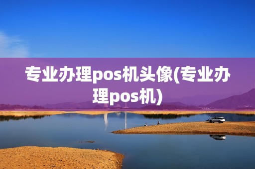 专业办理pos机头像(专业办理pos机)