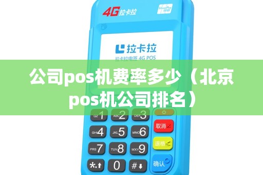 公司pos机费率多少（北京pos机公司排名）