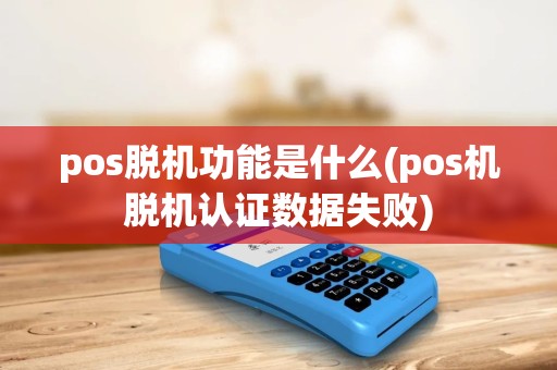 pos脱机功能是什么(pos机脱机认证数据失败)