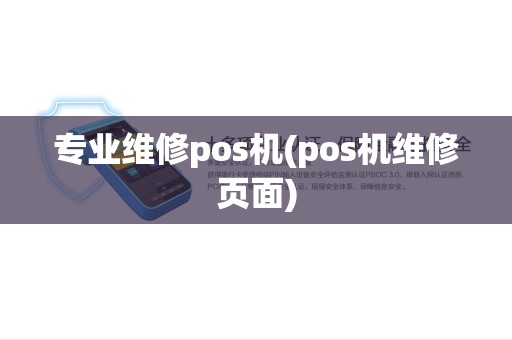 专业维修pos机(pos机维修页面)