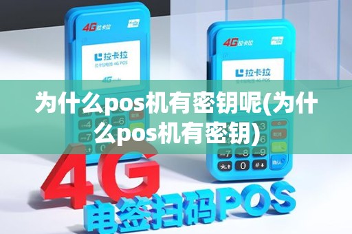 为什么pos机有密钥呢(为什么pos机有密钥) 为什么pos机有密钥呢(为什么pos机有密钥)