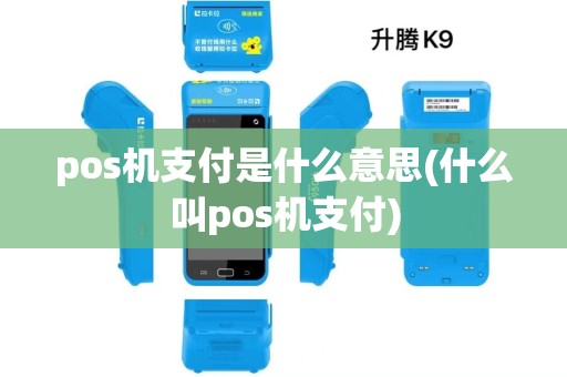 pos机支付是什么意思(什么叫pos机支付)